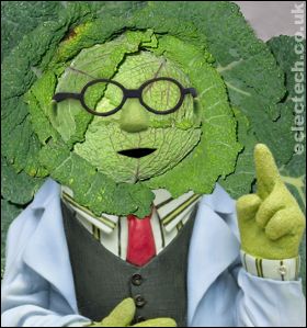 dr bunsen cabbage says.....